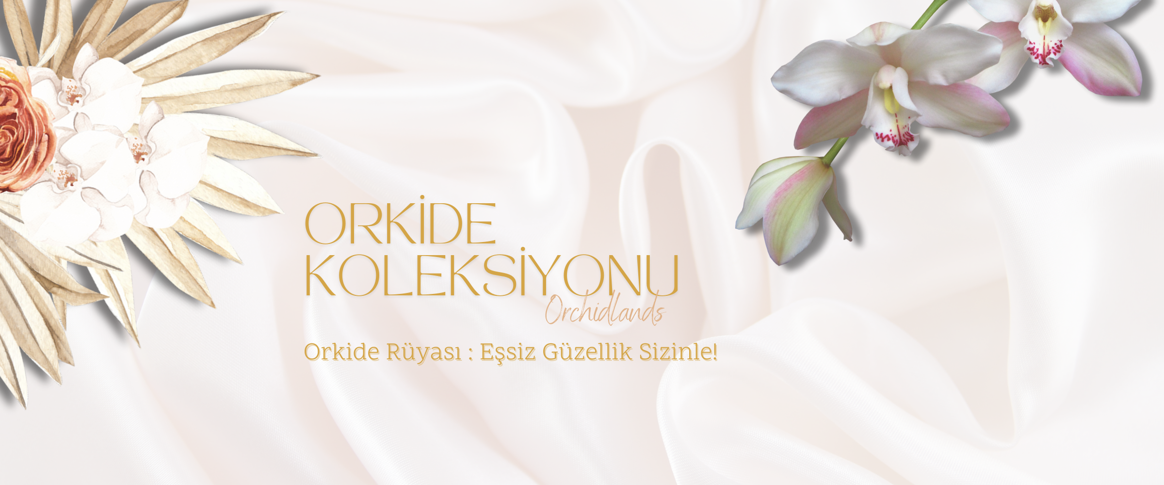 Orkide Koleksiyonu