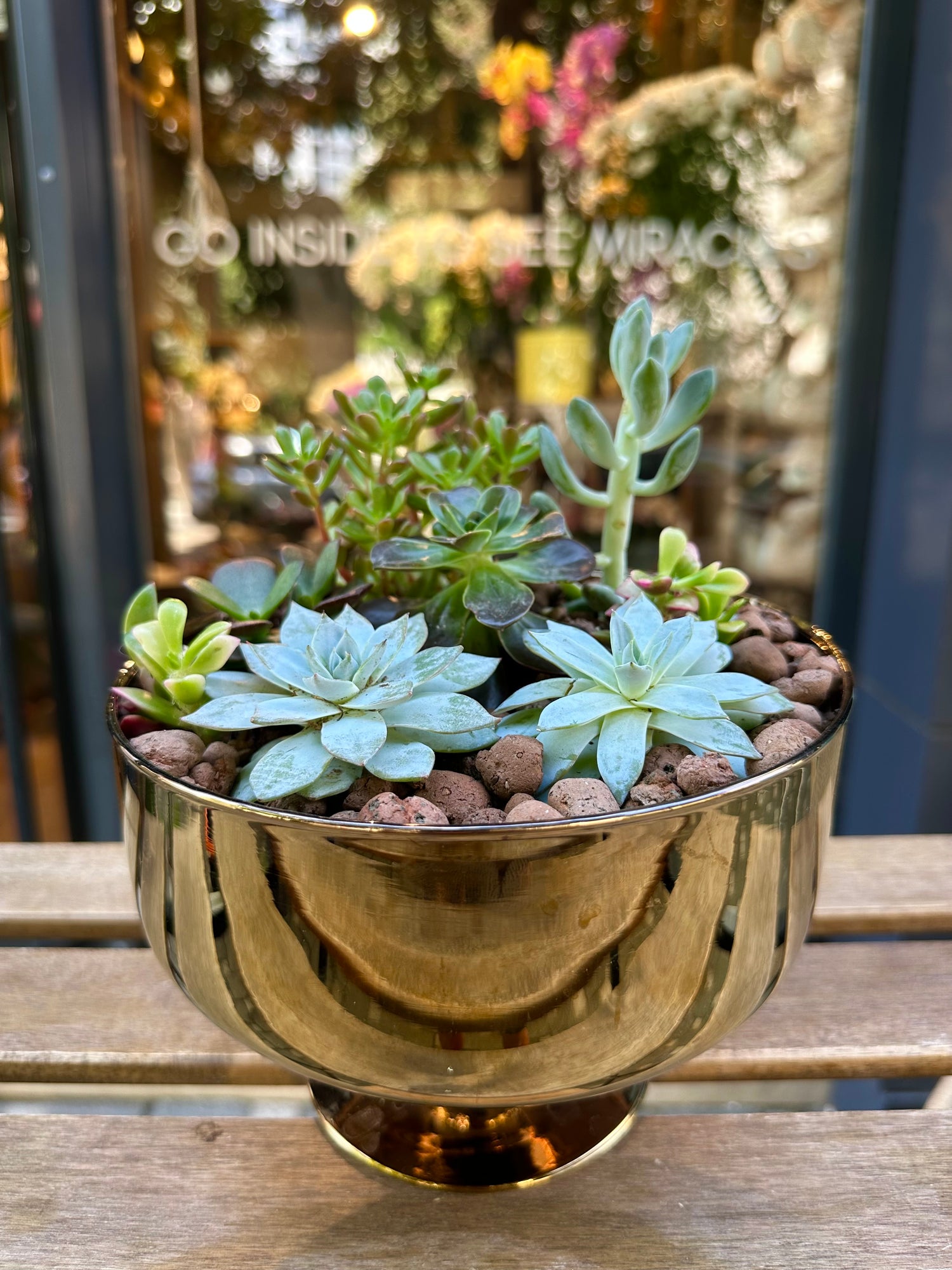 Gaia Terrarium