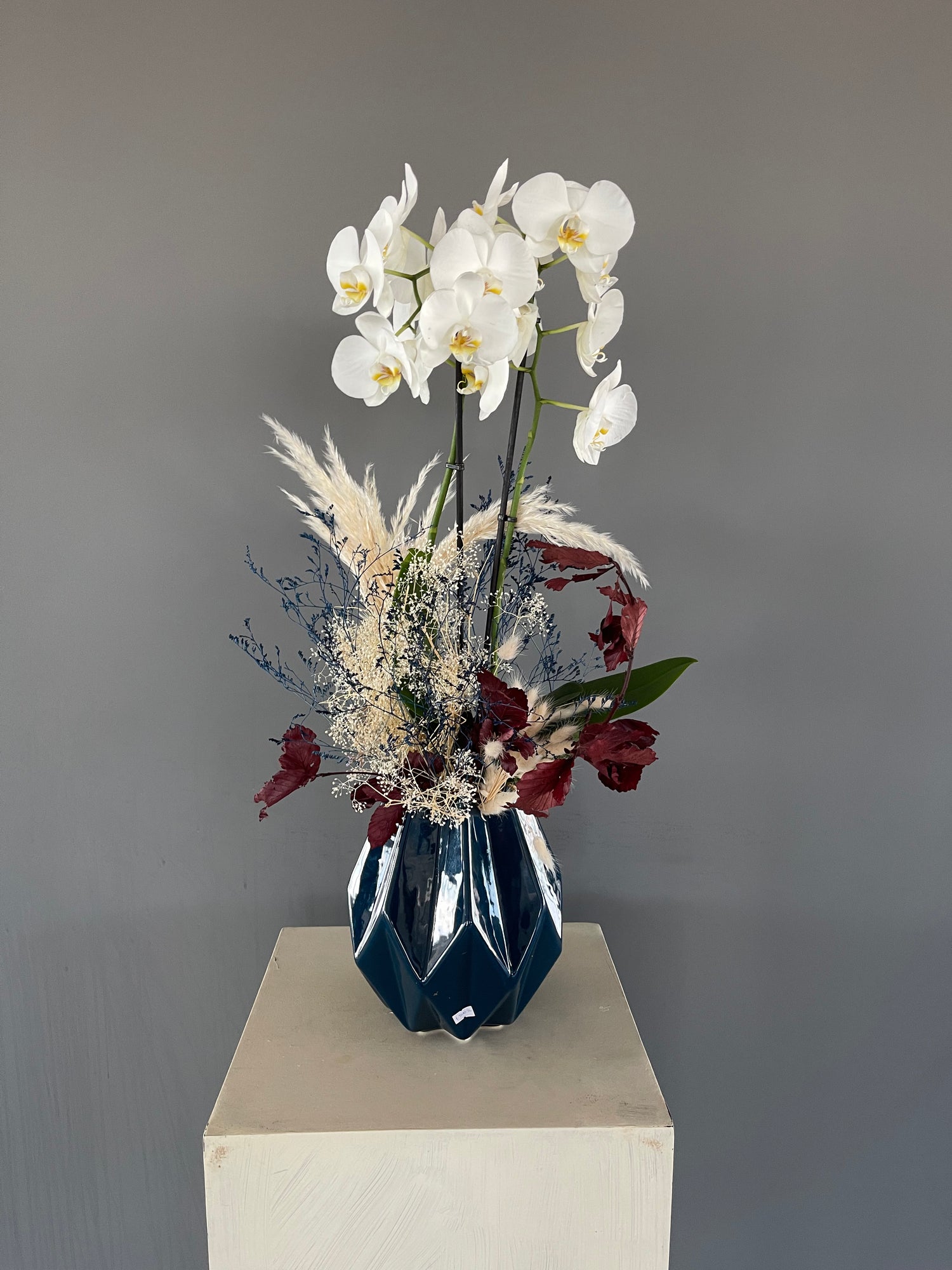 Orchidlands Special 2