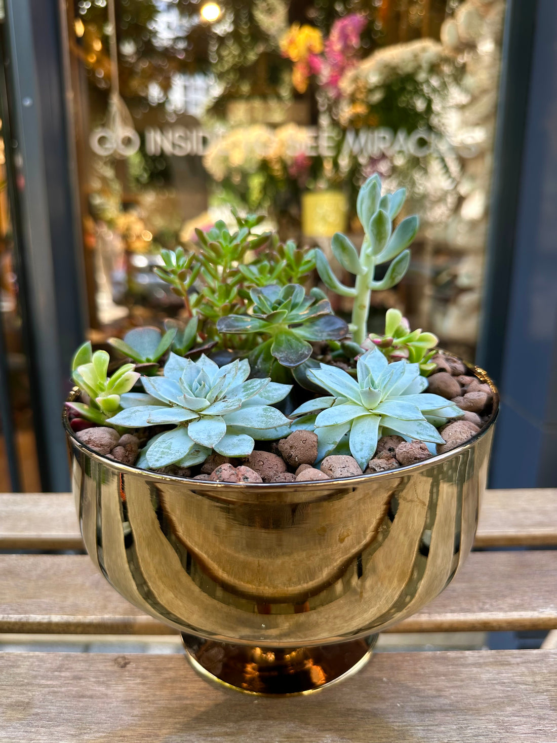 Gaia Terrarium
