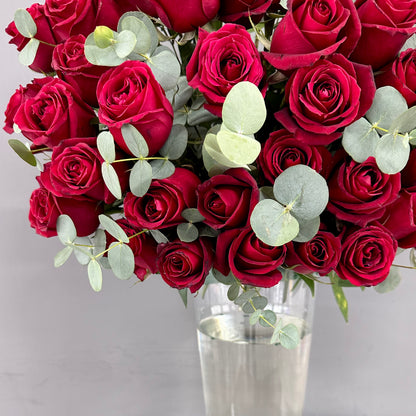 50 Kırmızı Gül
