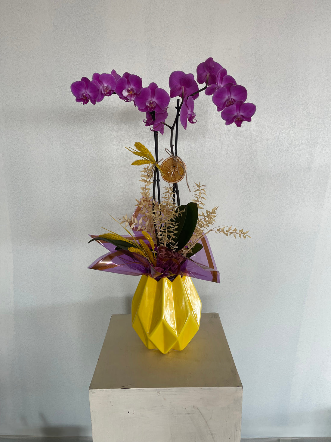 Orchidlands Special 4