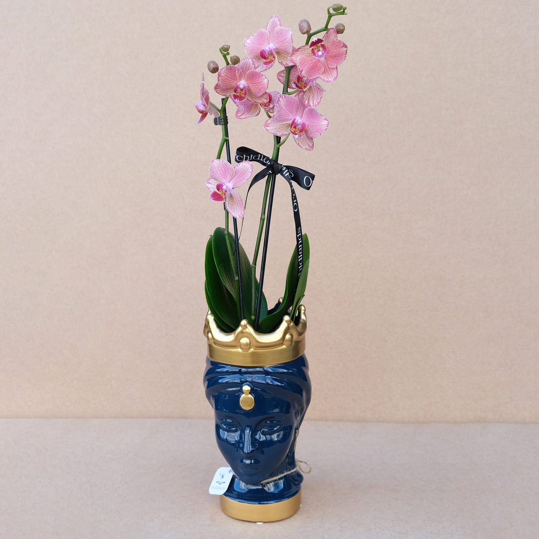 DarkBlue Queen №32