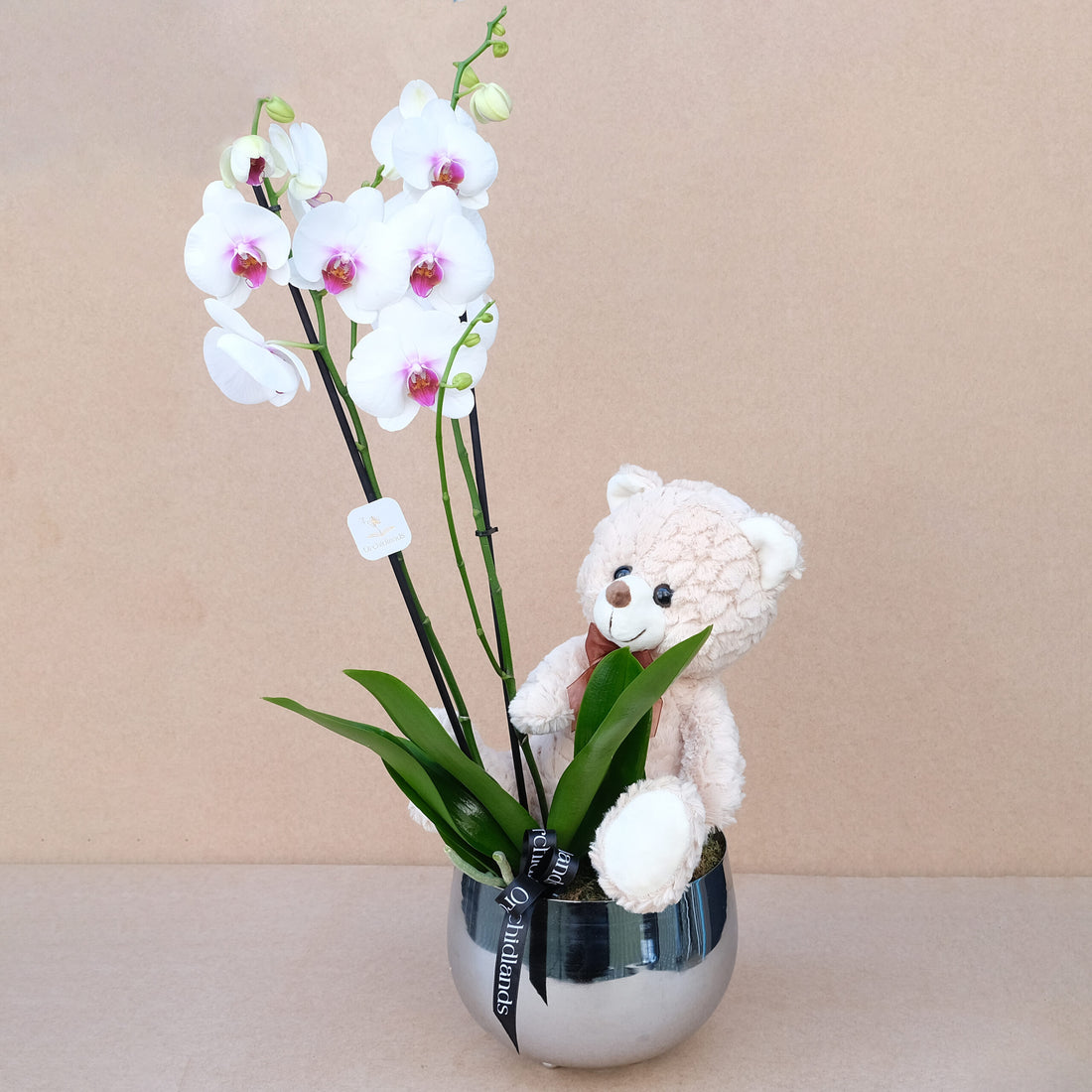 Cutie Pie №40