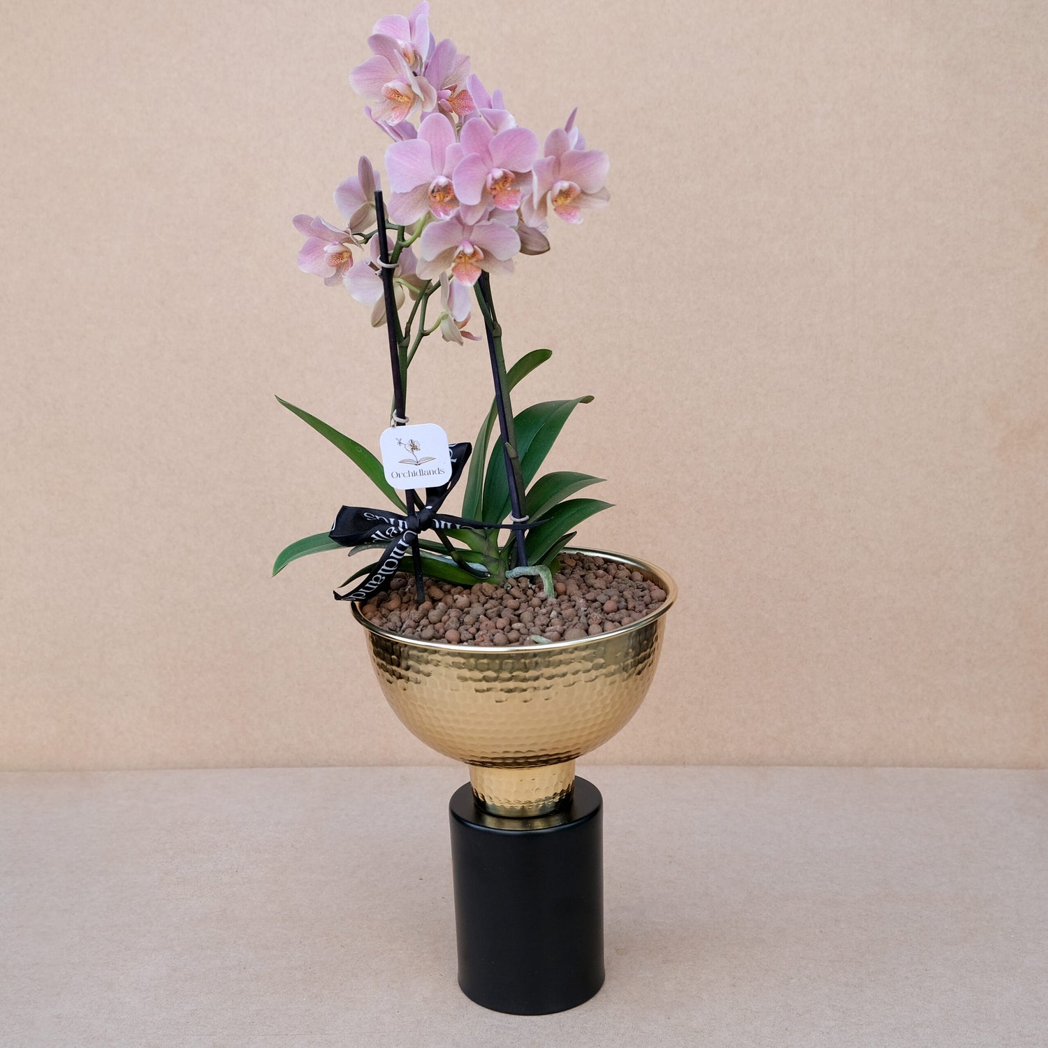 Cup of Happiness №31