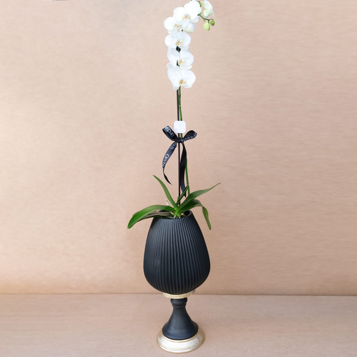 Black&amp;White №15